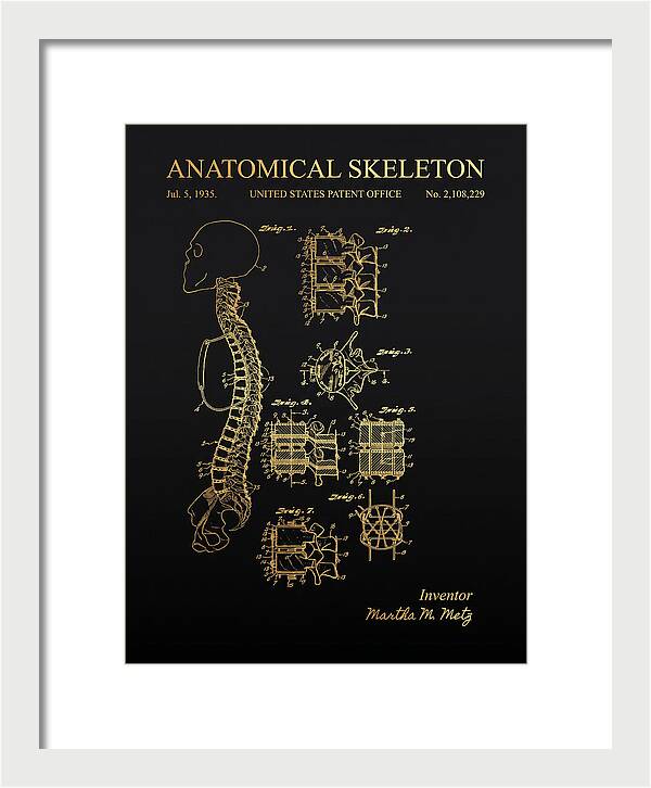 Anatomical Skeleton Gold Patent Us2108229a