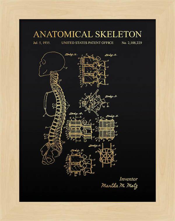 Anatomical Skeleton Gold Patent Us2108229a