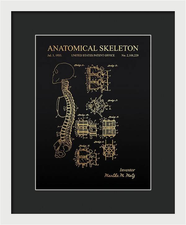 Anatomical Skeleton Gold Patent Us2108229a