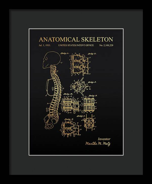 Anatomical Skeleton Gold Patent Us2108229a
