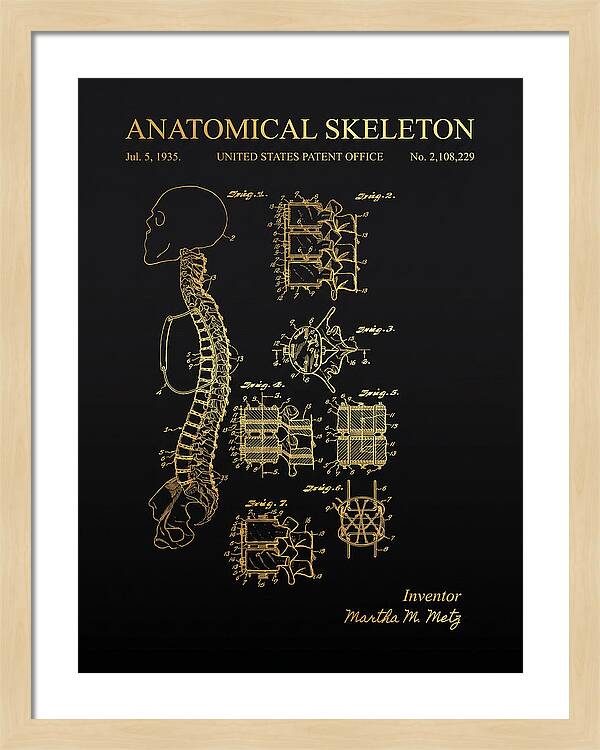 Anatomical Skeleton Gold Patent Us2108229a