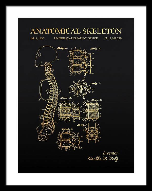 Anatomical Skeleton Gold Patent Us2108229a
