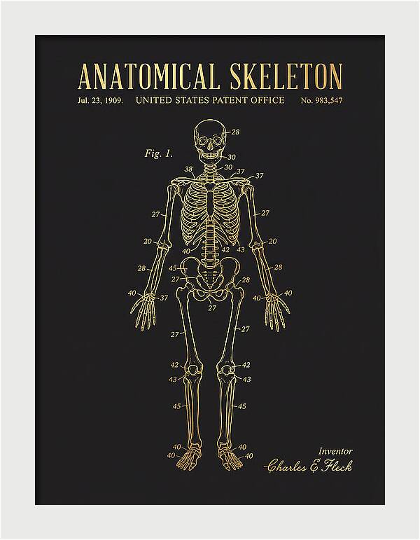 Anatomical Skeleton Gold Patent Us983547a