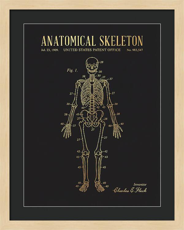 Anatomical Skeleton Gold Patent Us983547a