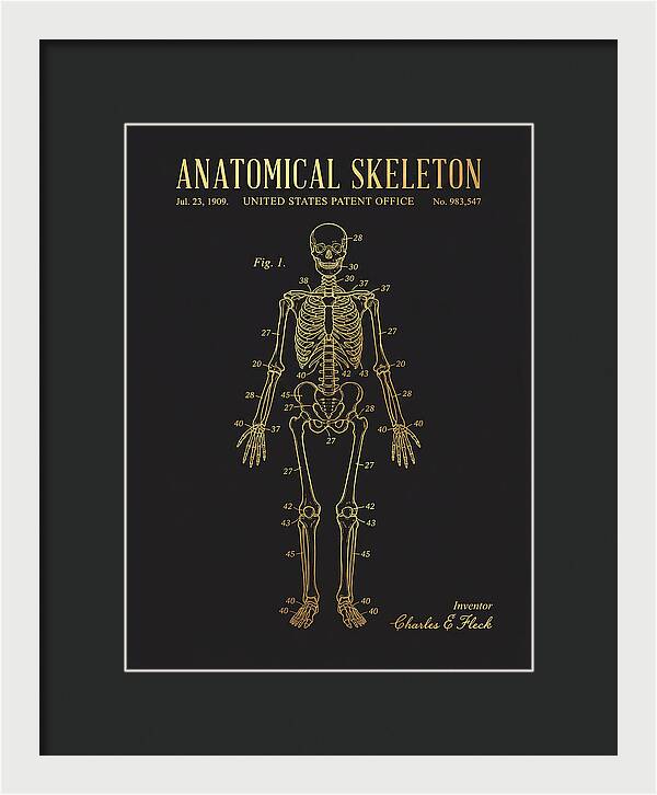 Anatomical Skeleton Gold Patent Us983547a