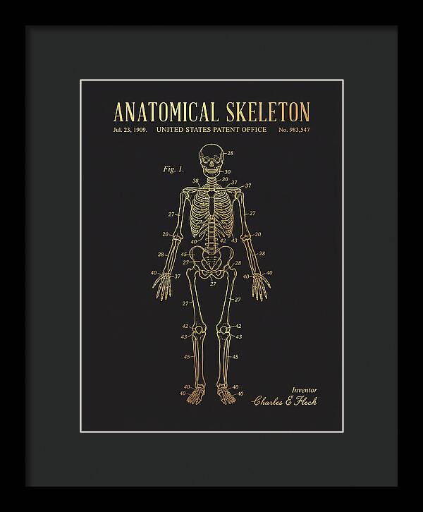Anatomical Skeleton Gold Patent Us983547a