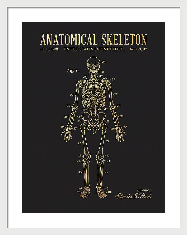 Anatomical Skeleton Gold Patent Us983547a