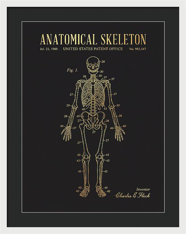 Anatomical Skeleton Gold Patent Us983547a