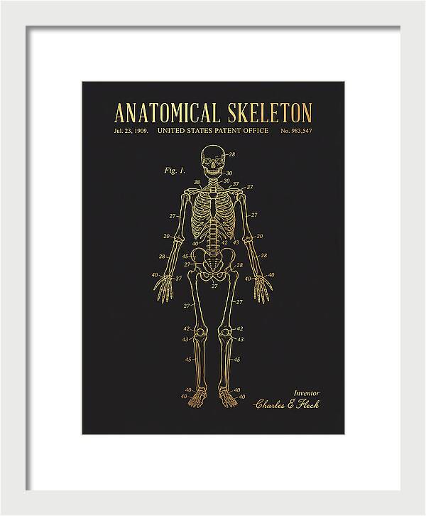 Anatomical Skeleton Gold Patent Us983547a