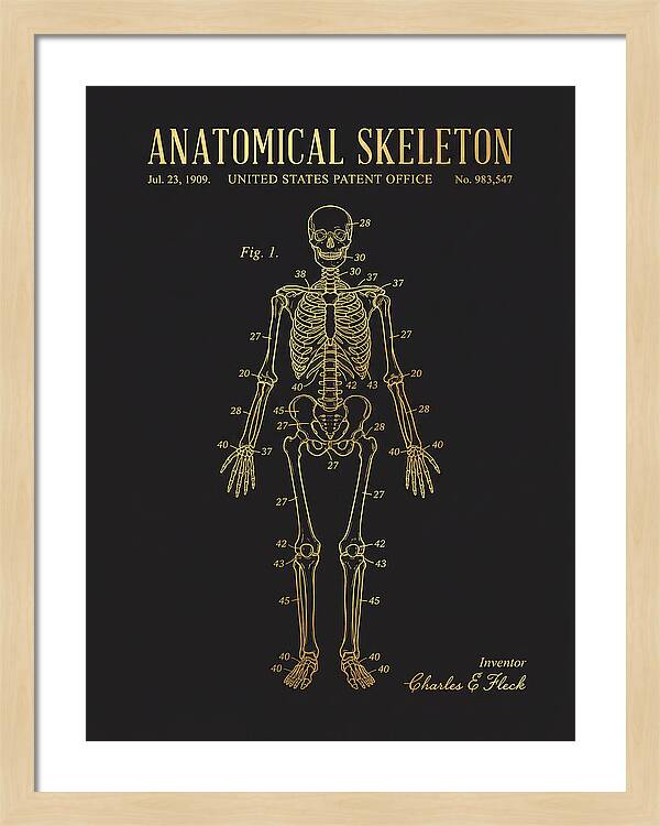 Anatomical Skeleton Gold Patent Us983547a