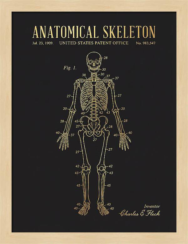 Anatomical Skeleton Gold Patent Us983547a