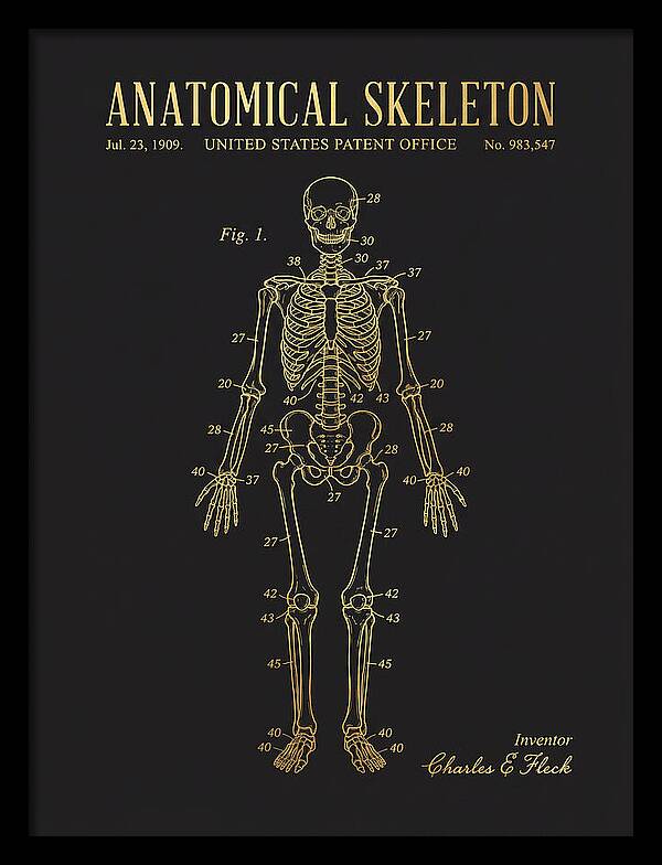 Anatomical Skeleton Gold Patent Us983547a