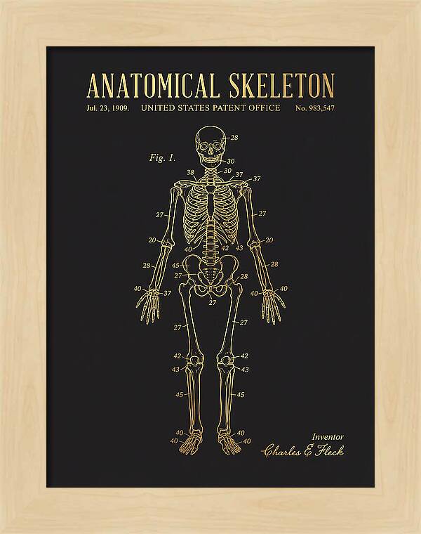 Anatomical Skeleton Gold Patent Us983547a
