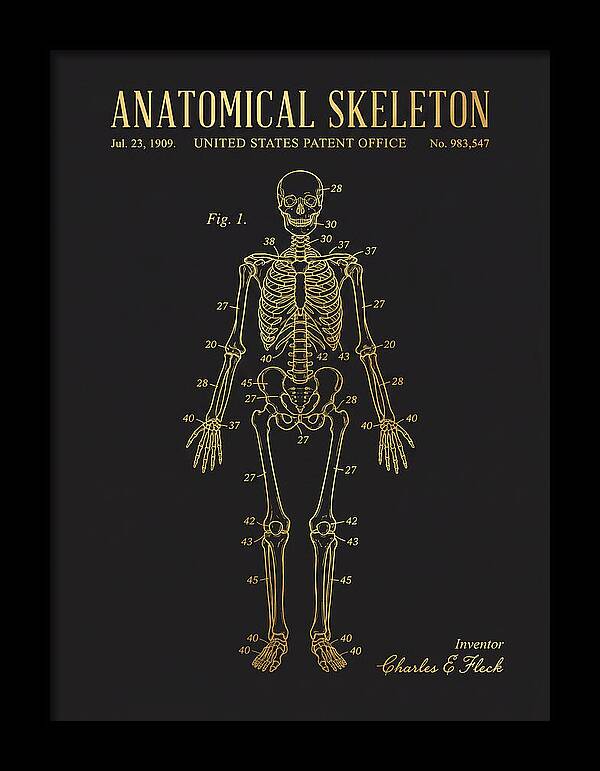Anatomical Skeleton Gold Patent Us983547a