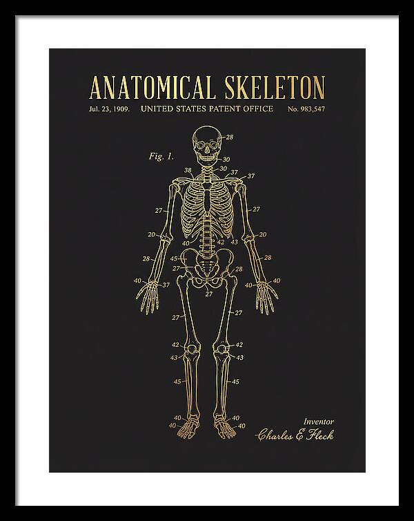 Anatomical Skeleton Gold Patent Us983547a