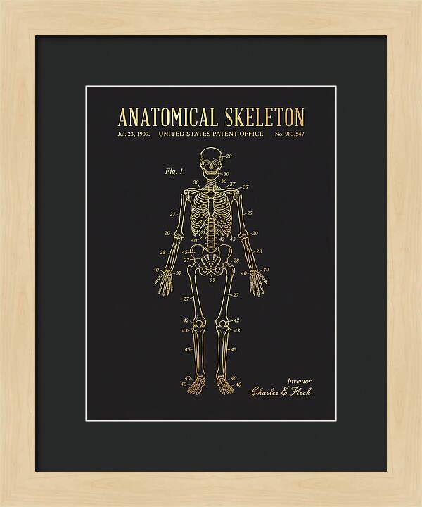 Anatomical Skeleton Gold Patent Us983547a