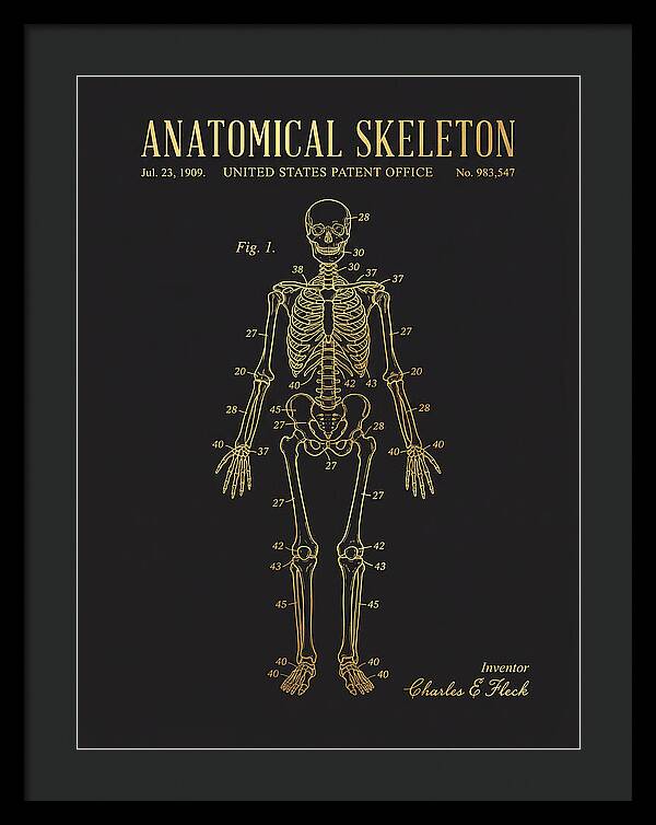 Anatomical Skeleton Gold Patent Us983547a