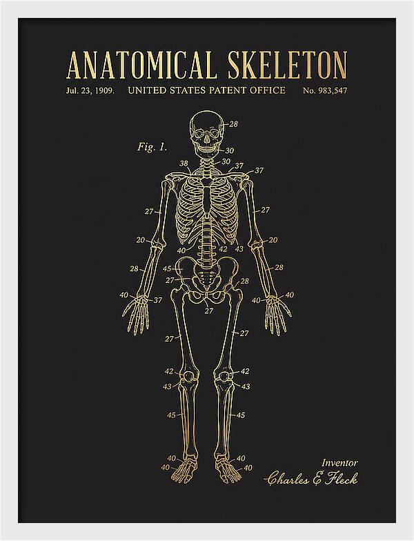 Anatomical Skeleton Gold Patent Us983547a