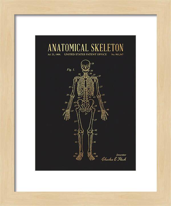 Anatomical Skeleton Gold Patent Us983547a