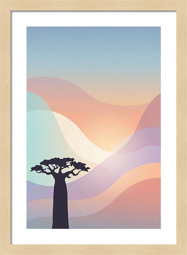 Ancient Baobab Tree Silhouetted