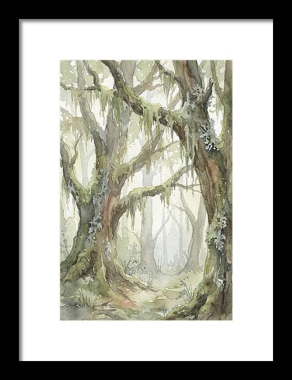 Ancient Forest Serenity