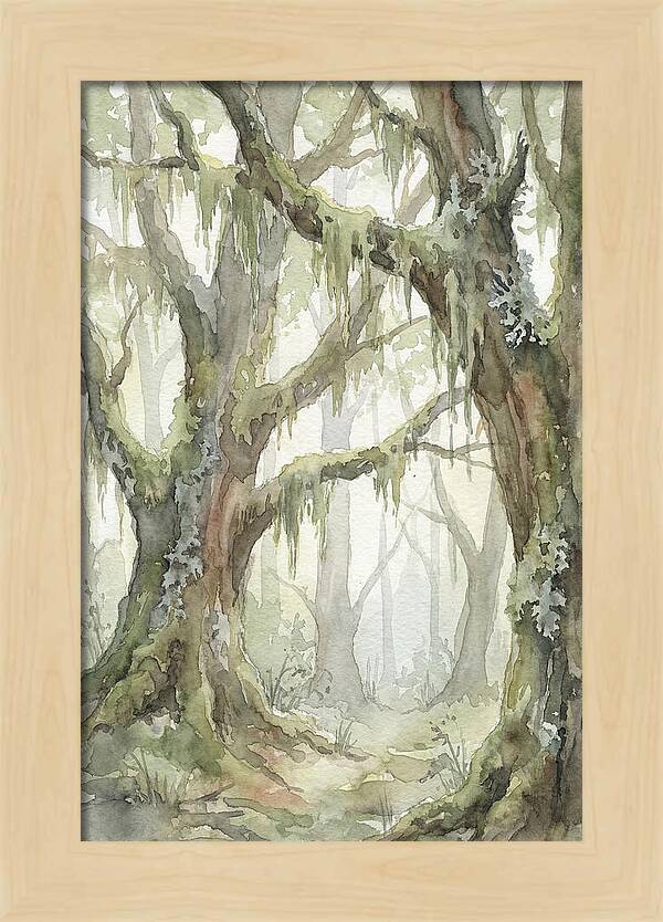 Ancient Forest Serenity