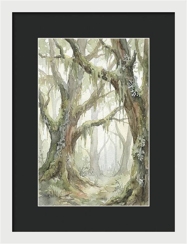 Ancient Forest Serenity