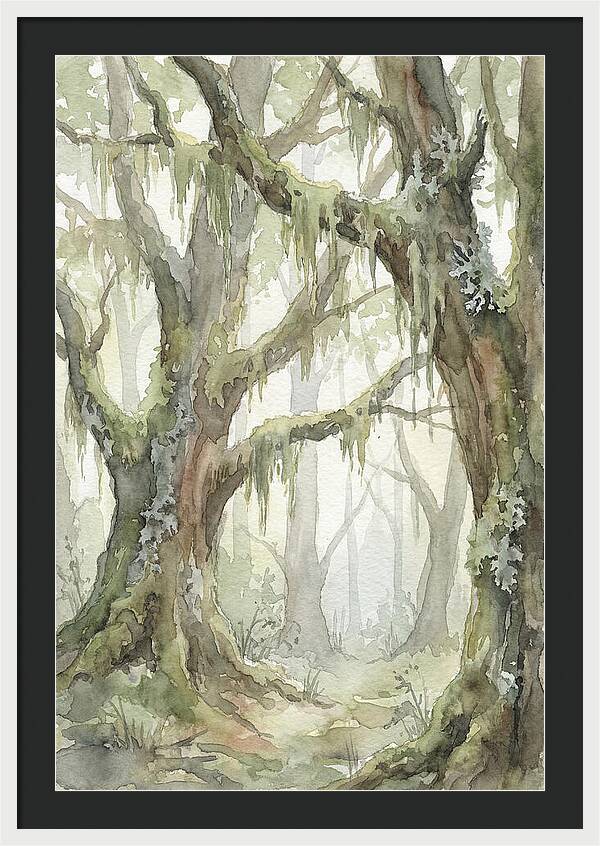 Ancient Forest Serenity