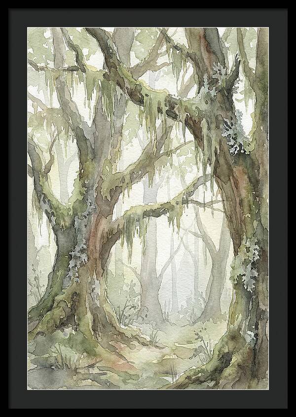 Ancient Forest Serenity