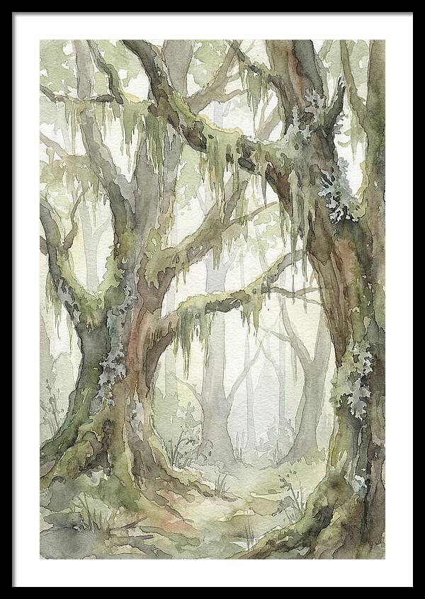 Ancient Forest Serenity