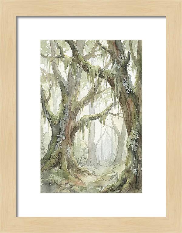 Ancient Forest Serenity