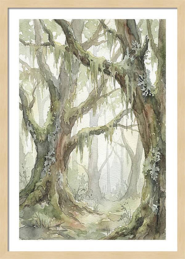 Ancient Forest Serenity