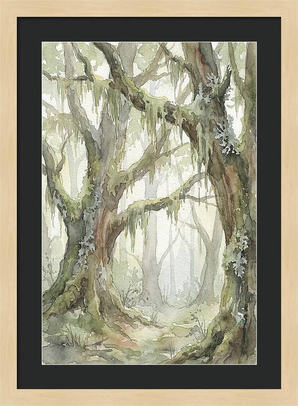 Ancient Forest Serenity