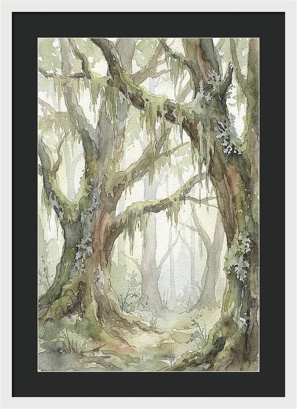 Ancient Forest Serenity
