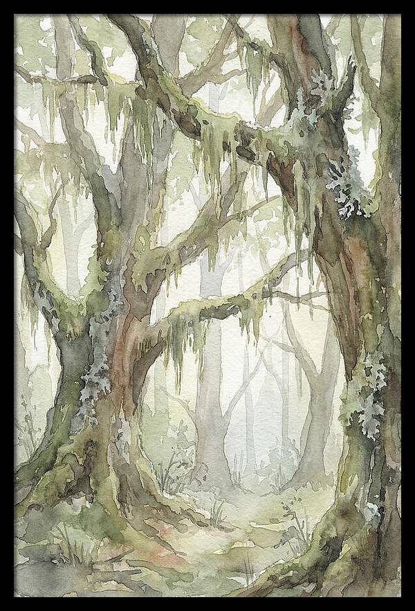 Ancient Forest Serenity