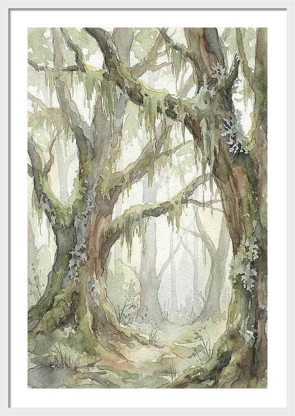Ancient Forest Serenity