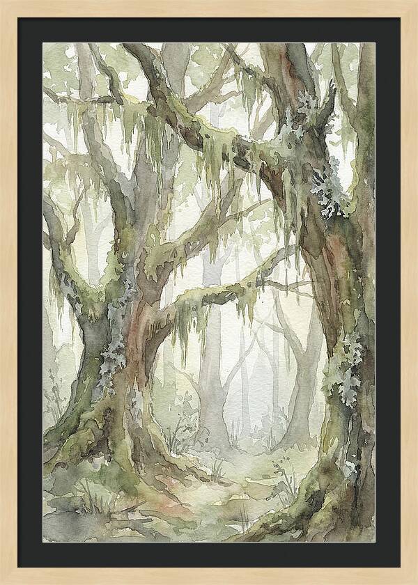 Ancient Forest Serenity