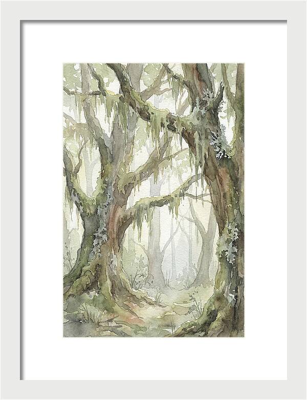 Ancient Forest Serenity