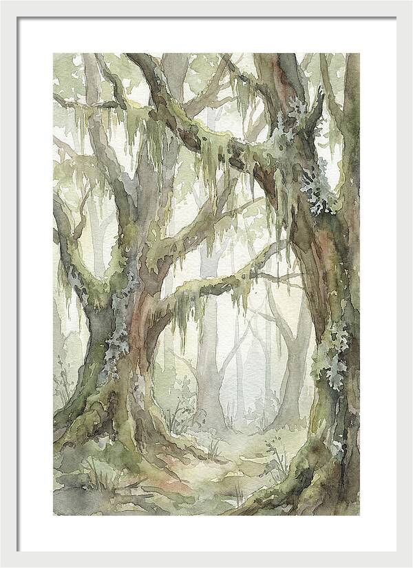 Ancient Forest Serenity