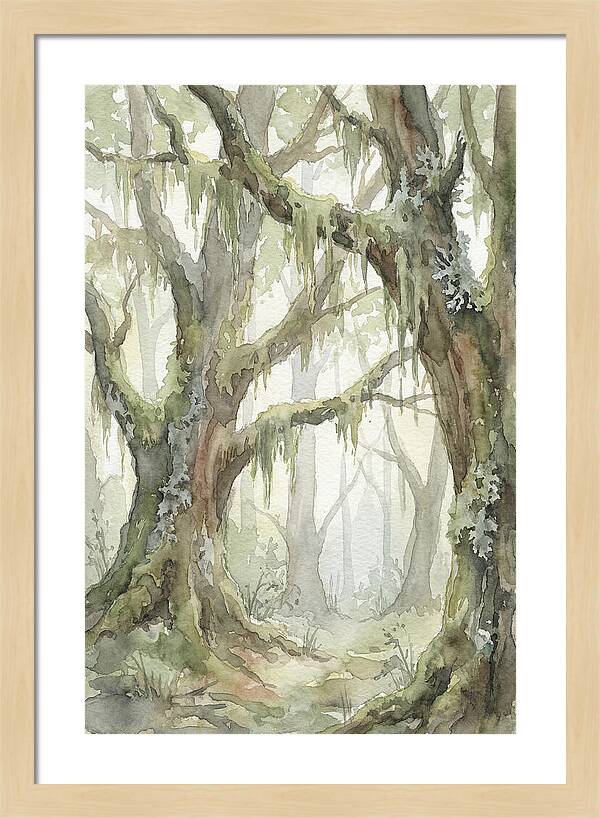 Ancient Forest Serenity