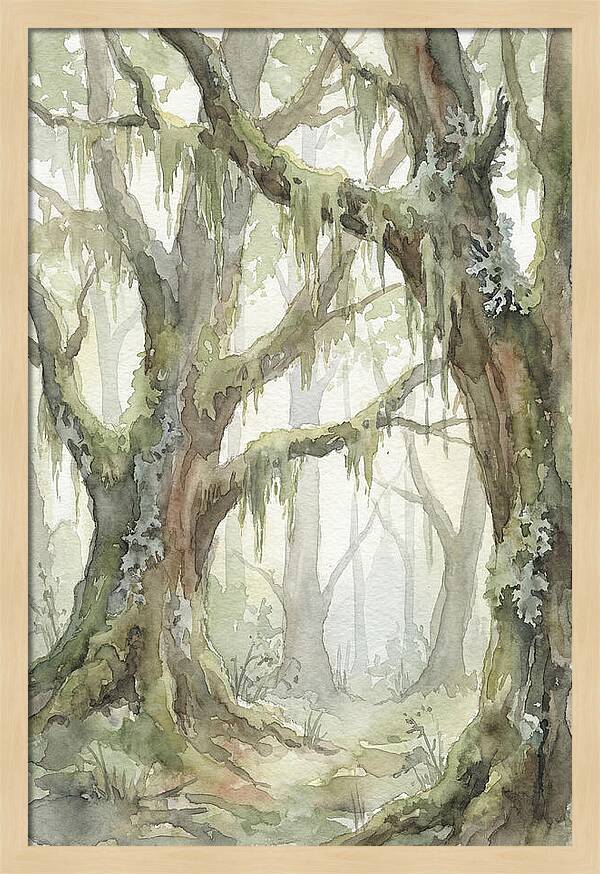 Ancient Forest Serenity