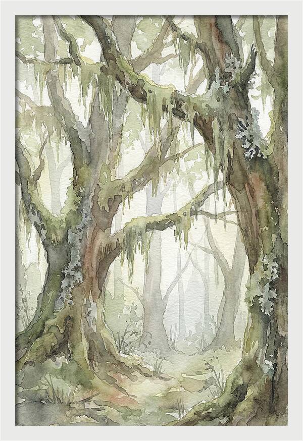 Ancient Forest Serenity