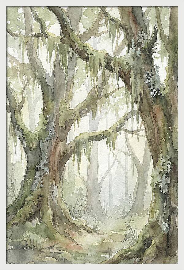Ancient Forest Serenity