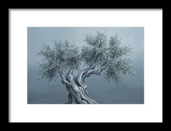 Ancient Olive Tree Majesty