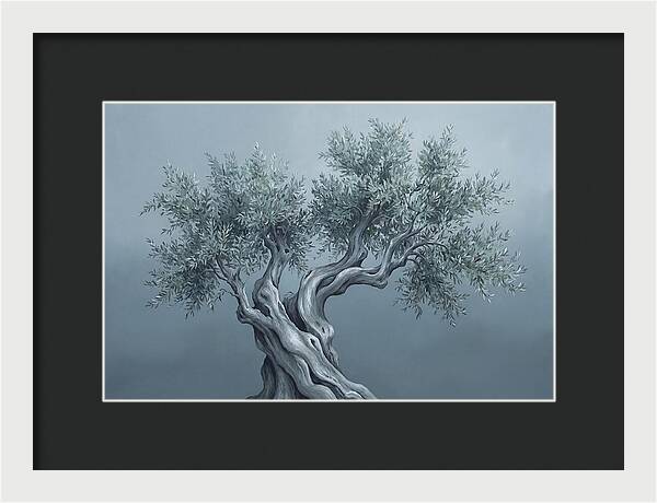 Ancient Olive Tree Majesty