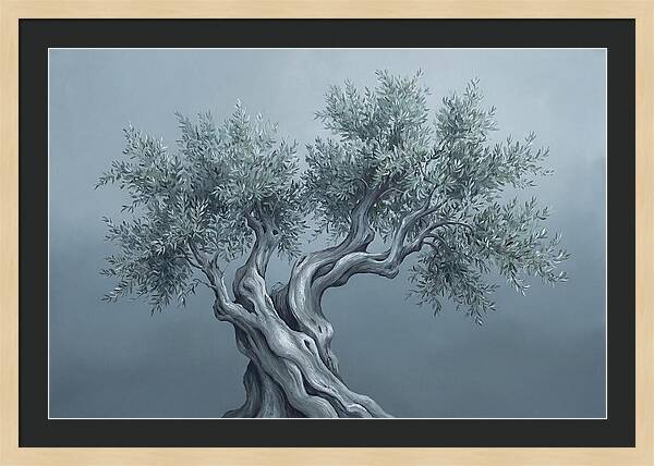 Ancient Olive Tree Majesty