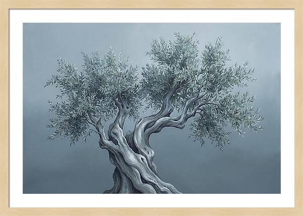 Ancient Olive Tree Majesty