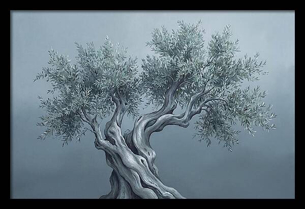 Ancient Olive Tree Majesty