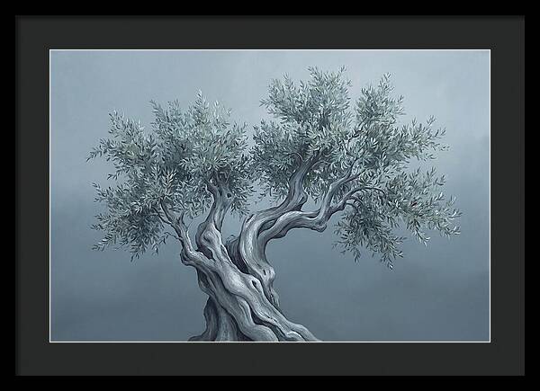 Ancient Olive Tree Majesty