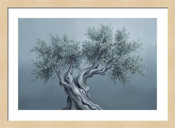 Ancient Olive Tree Majesty